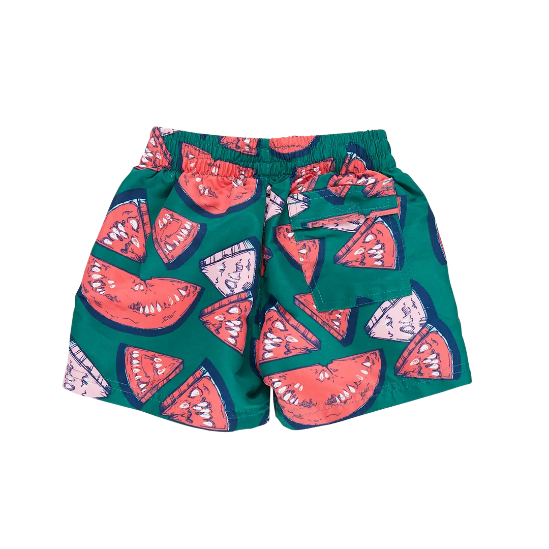 Baby Boys Swim Trunk - Green Watermelon Puzzle