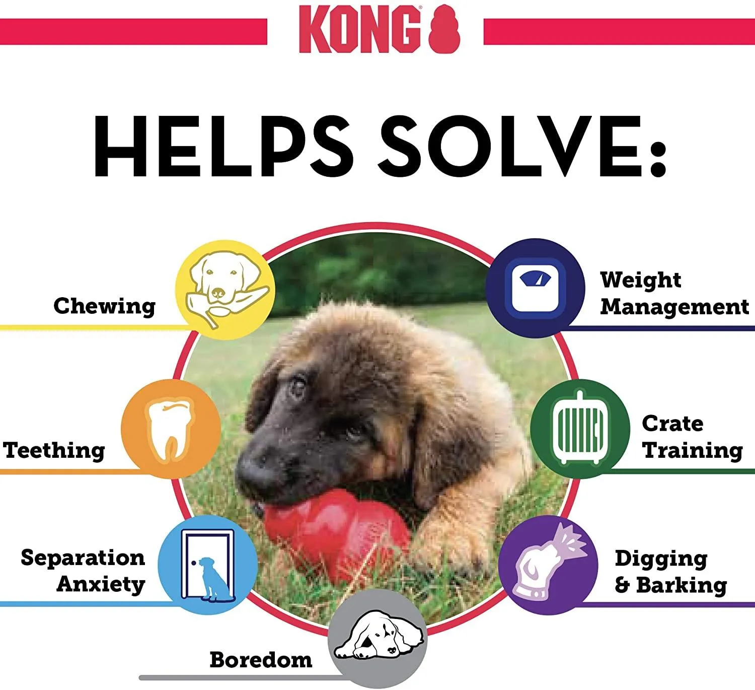 KONG - Classic Dog Toy - Durable Natural Rubber - Fun to Chew, Chase and Fetch