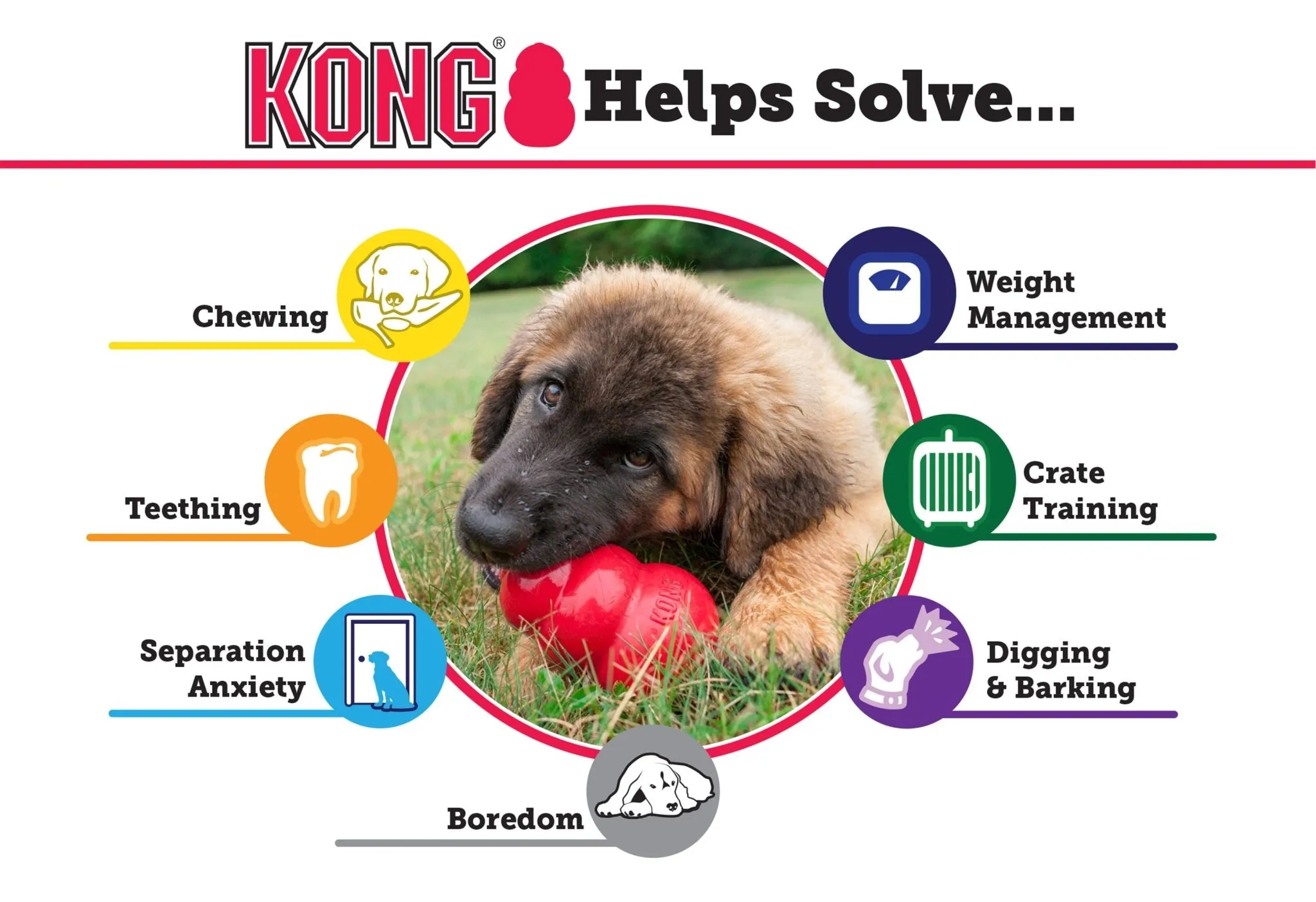 KONG Extreme Dog Toy for Power Chewers